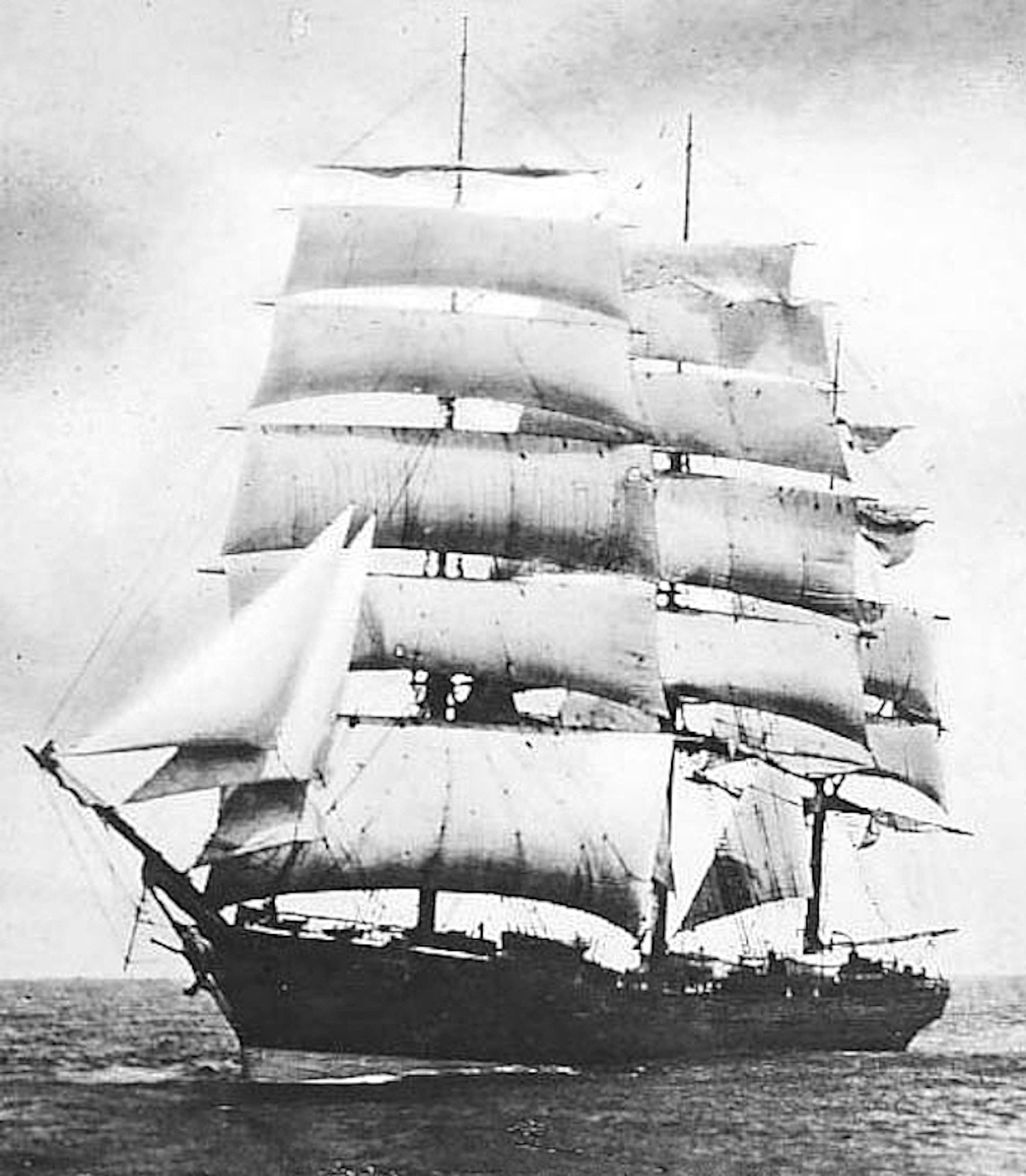 Len Wilson's Barques, Sparks & Sharks-Brilliant Len Wilson's Barques, Sparks & Sharks-Brilliant