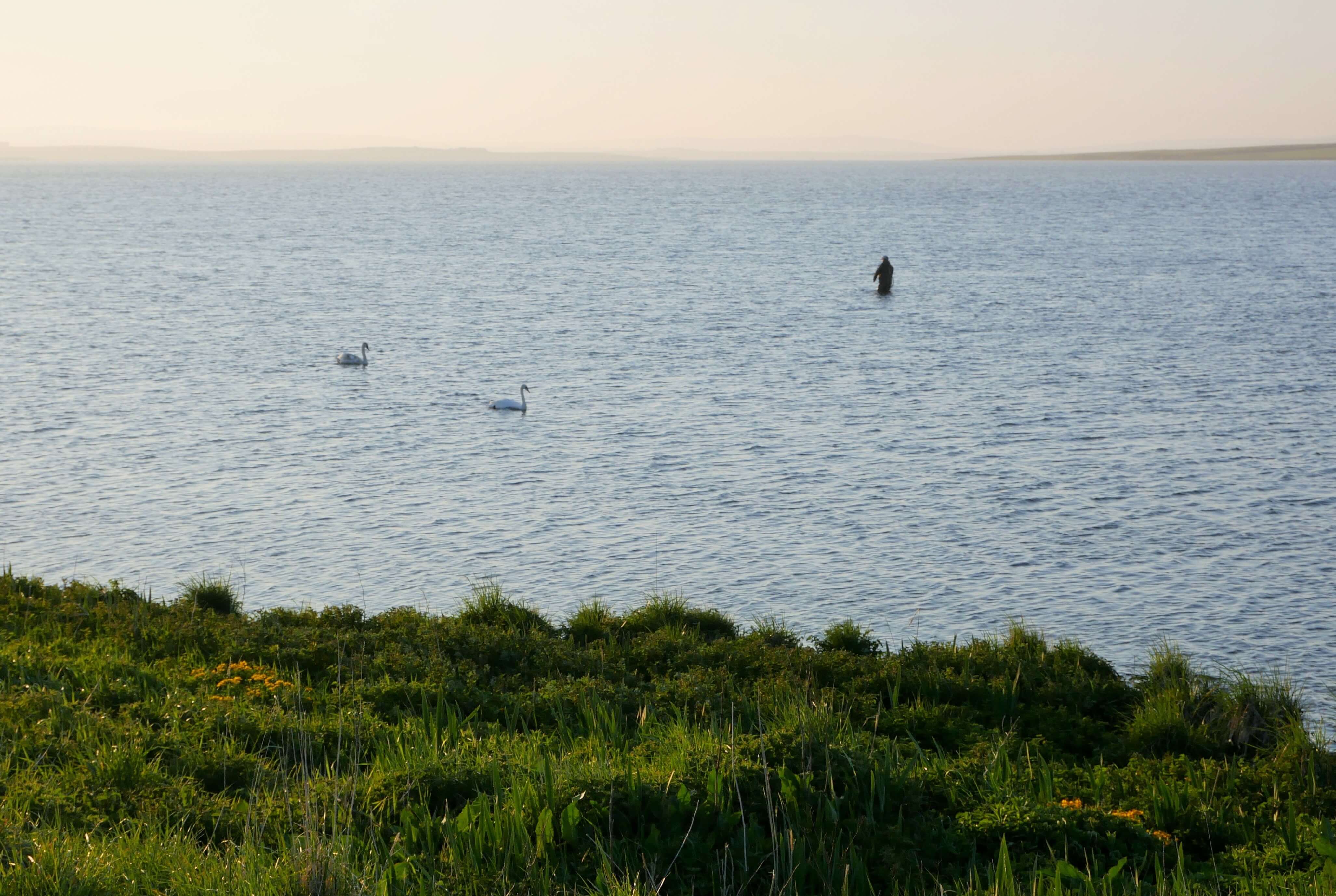 Fishing in Orkney - Find the Best Fishing in the Orkney Islands