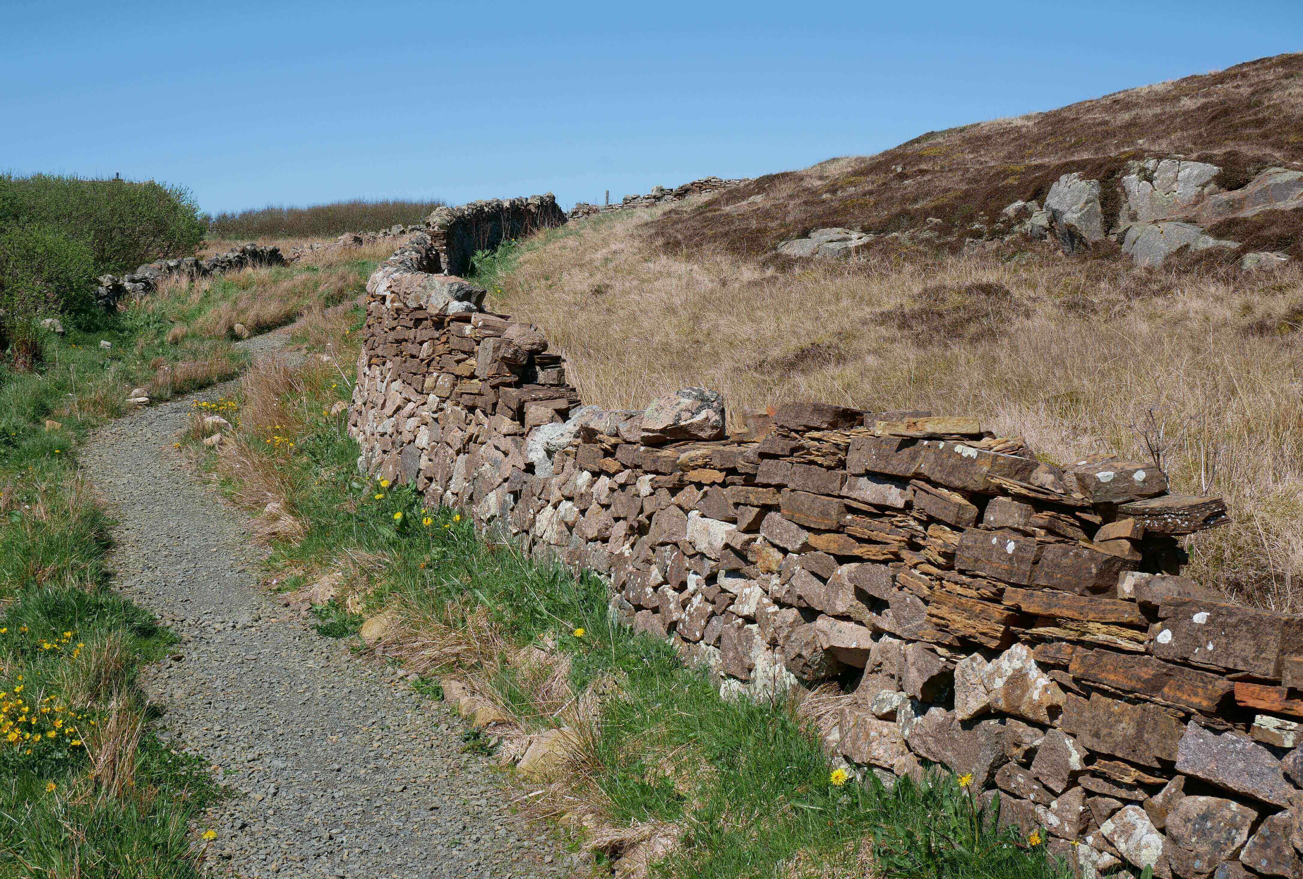 Stone dykes built by veterans during the Napoleonic Wars Stone dykes on the brae, built during the Napoleonic Wars - Stromness, Orkney, Scotland