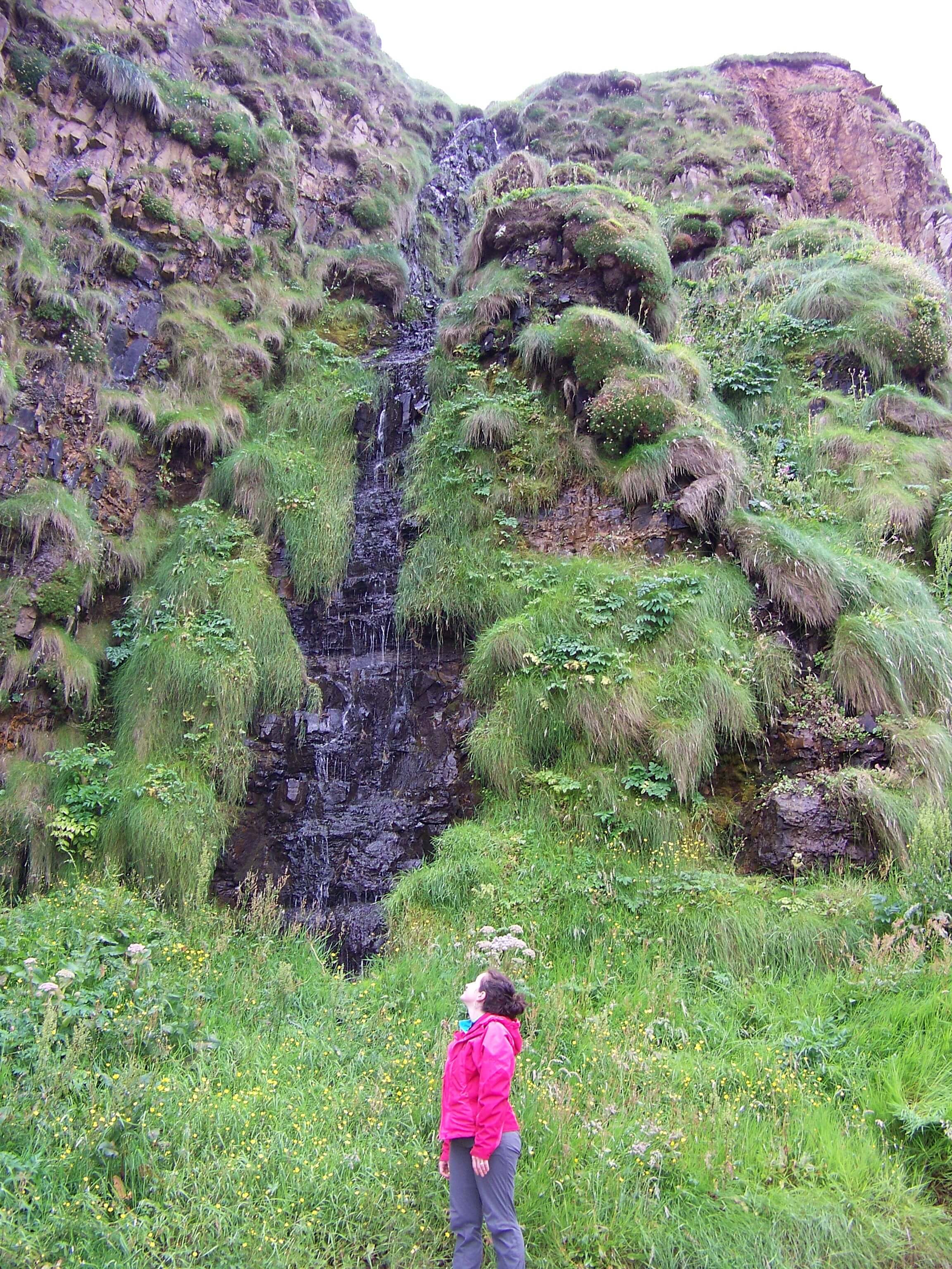 Brough of Deerness, Orkney Islands, Scotland. Orkney experts tips. Discover more about visiting Orkney and living in our islands on www.Orkneyology.com