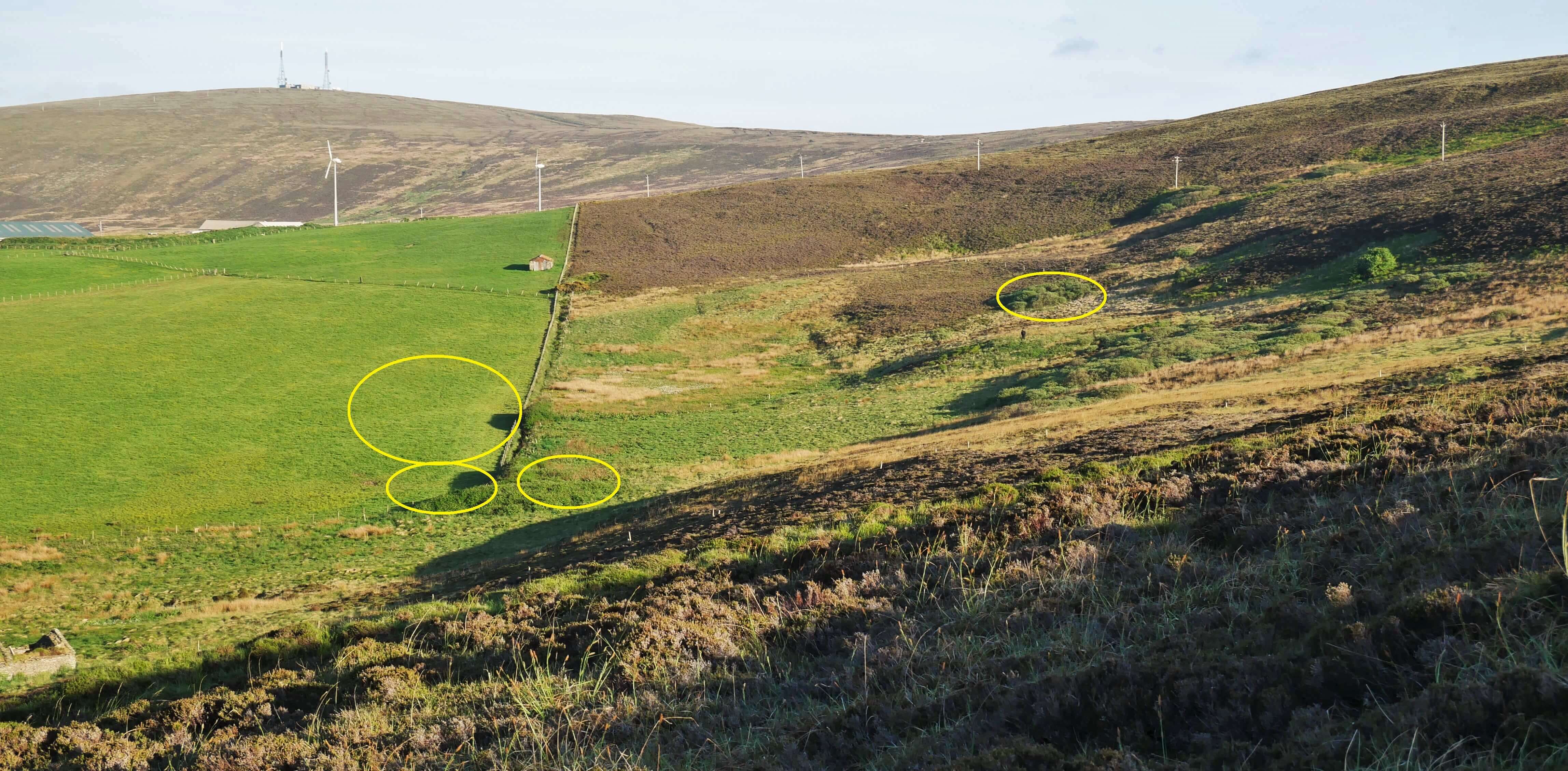 View of Neolithic settlement, Stonehall, below the cairn, Finstown, Orkney, Scotland