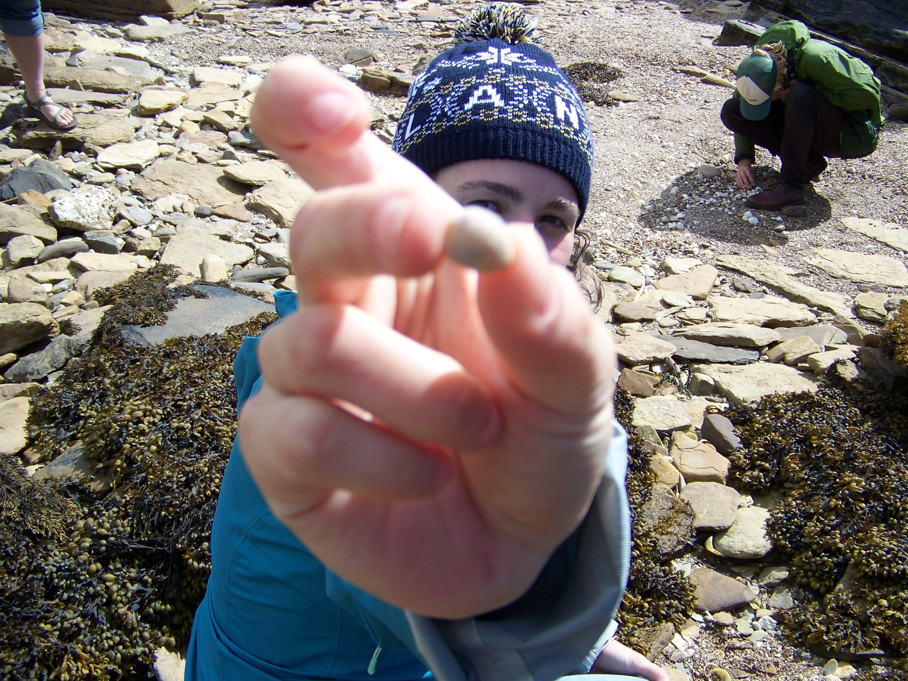 Victorious Rachel finds the first groatie buckie Beach combing, Orkney