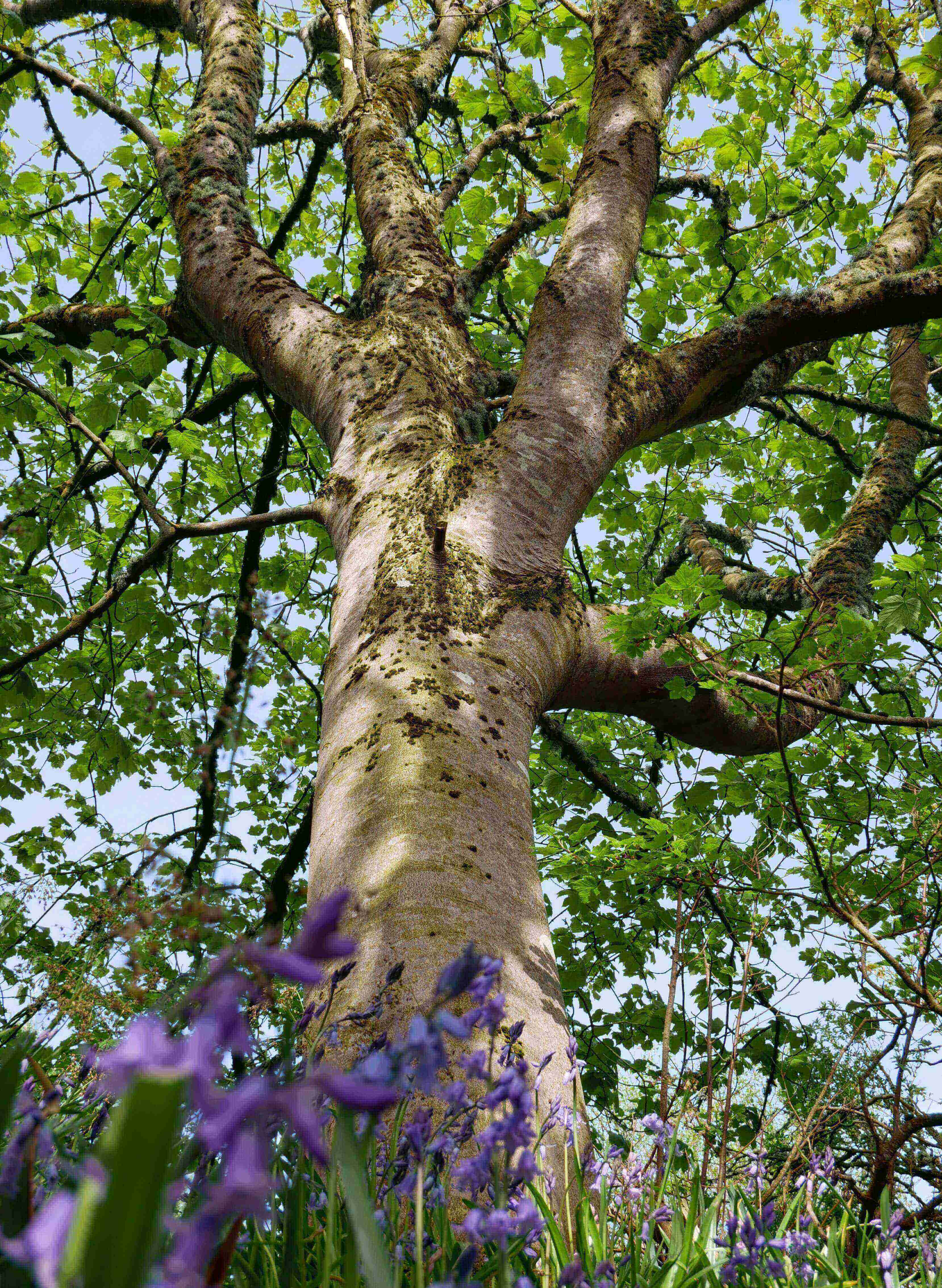 BBC Radio Orkney, Scotland