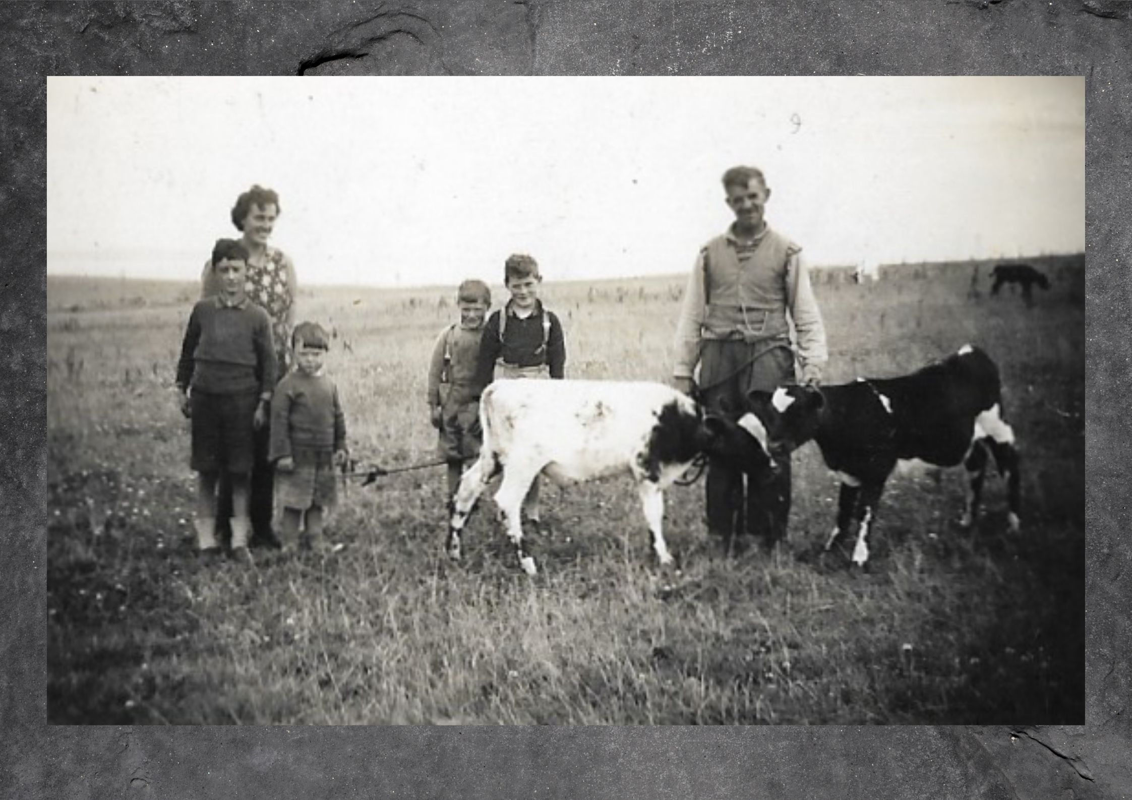 The Muir family of the farm of Valdigar, Tankerness, Orkney Islands, Scotland. Jim Muir's memories of farming in Orkney c. 1950s. #Orkneyology.com