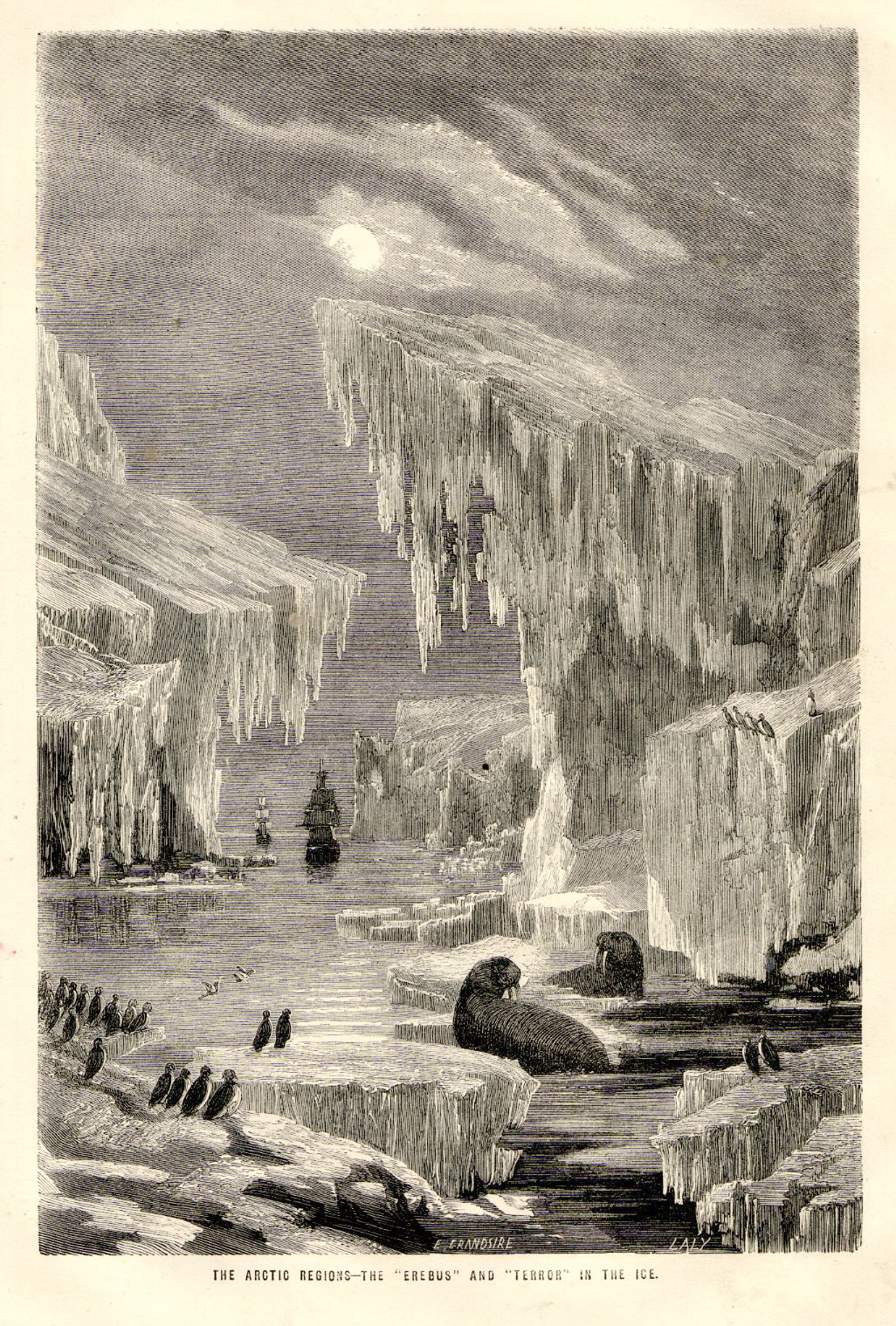 Illustration from a very old book that made a young Tom Muir dream of far away places Old illustration portraying the Erebus and Terror in the Arctic