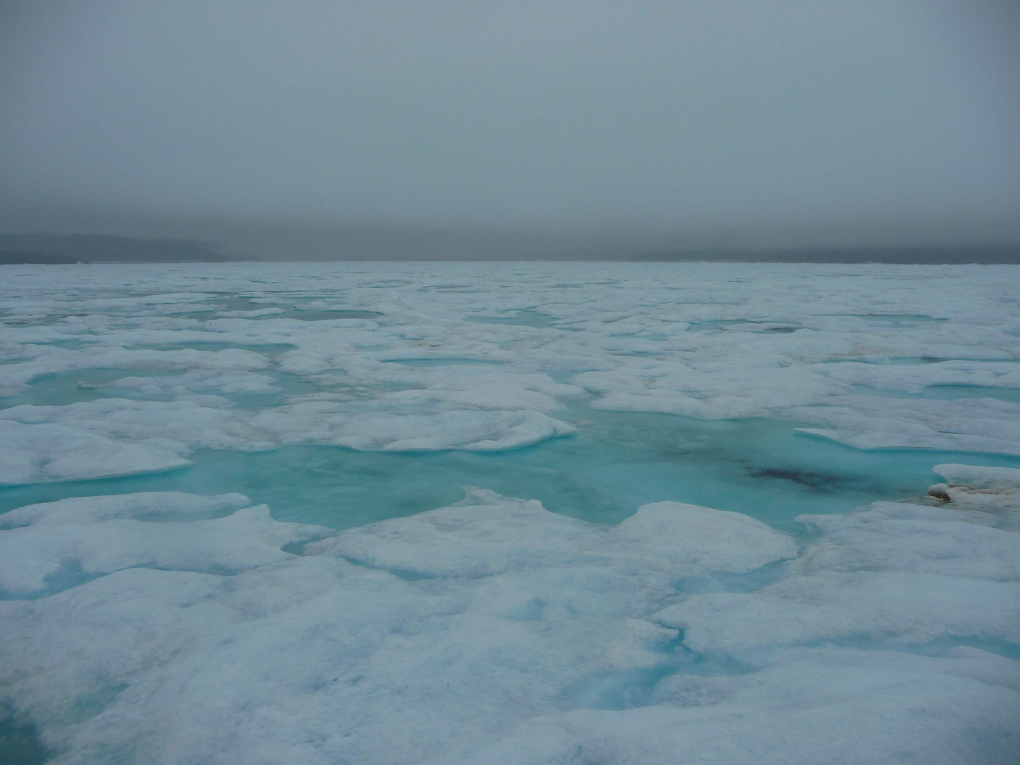 Arctic sea ice Arctic sea ice