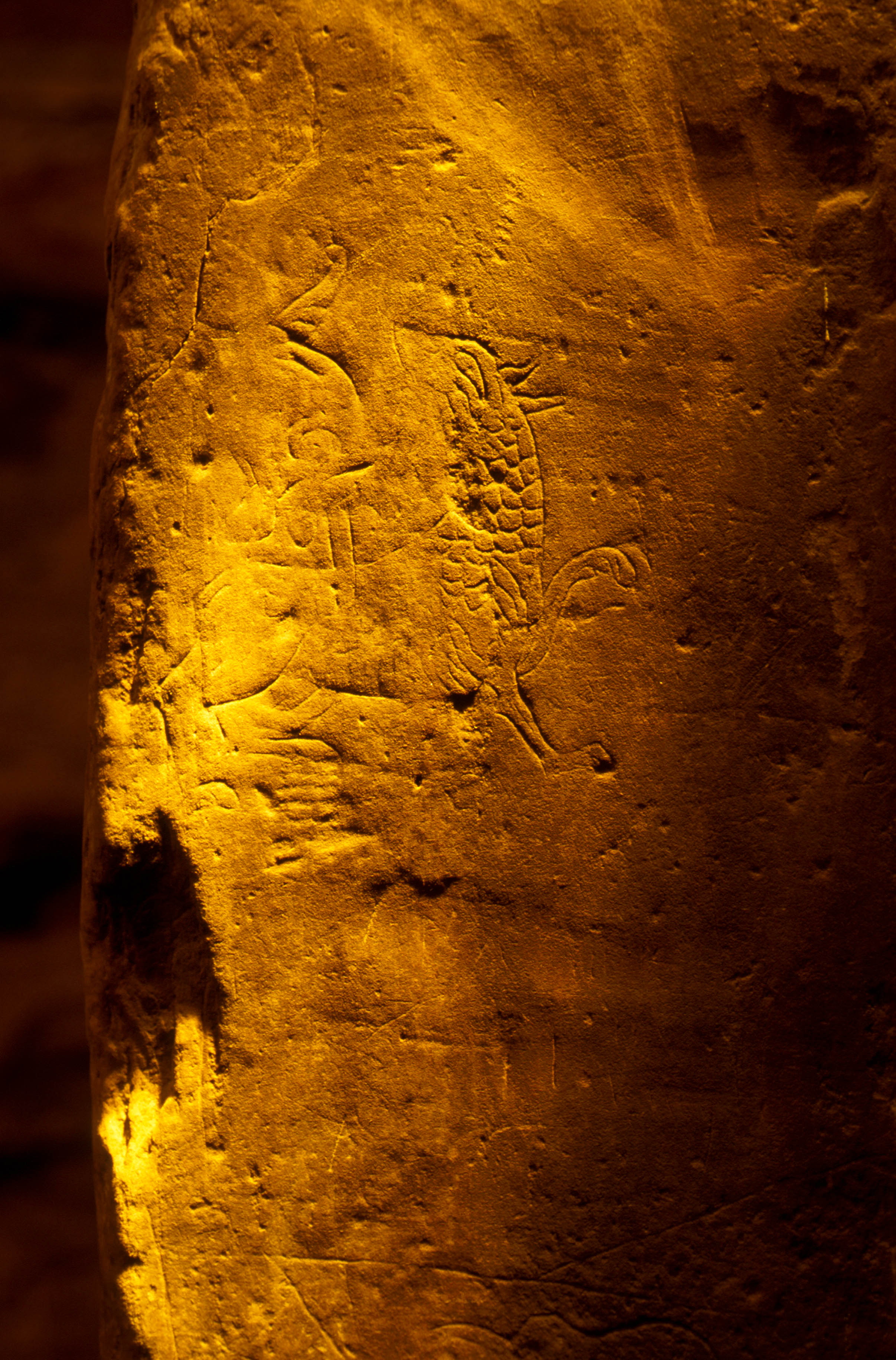 The dragon in relief Viking runes at the Neolithic chambered tomb in Stenness, Orkney Islands, Scotland. www.Orkneyology.com