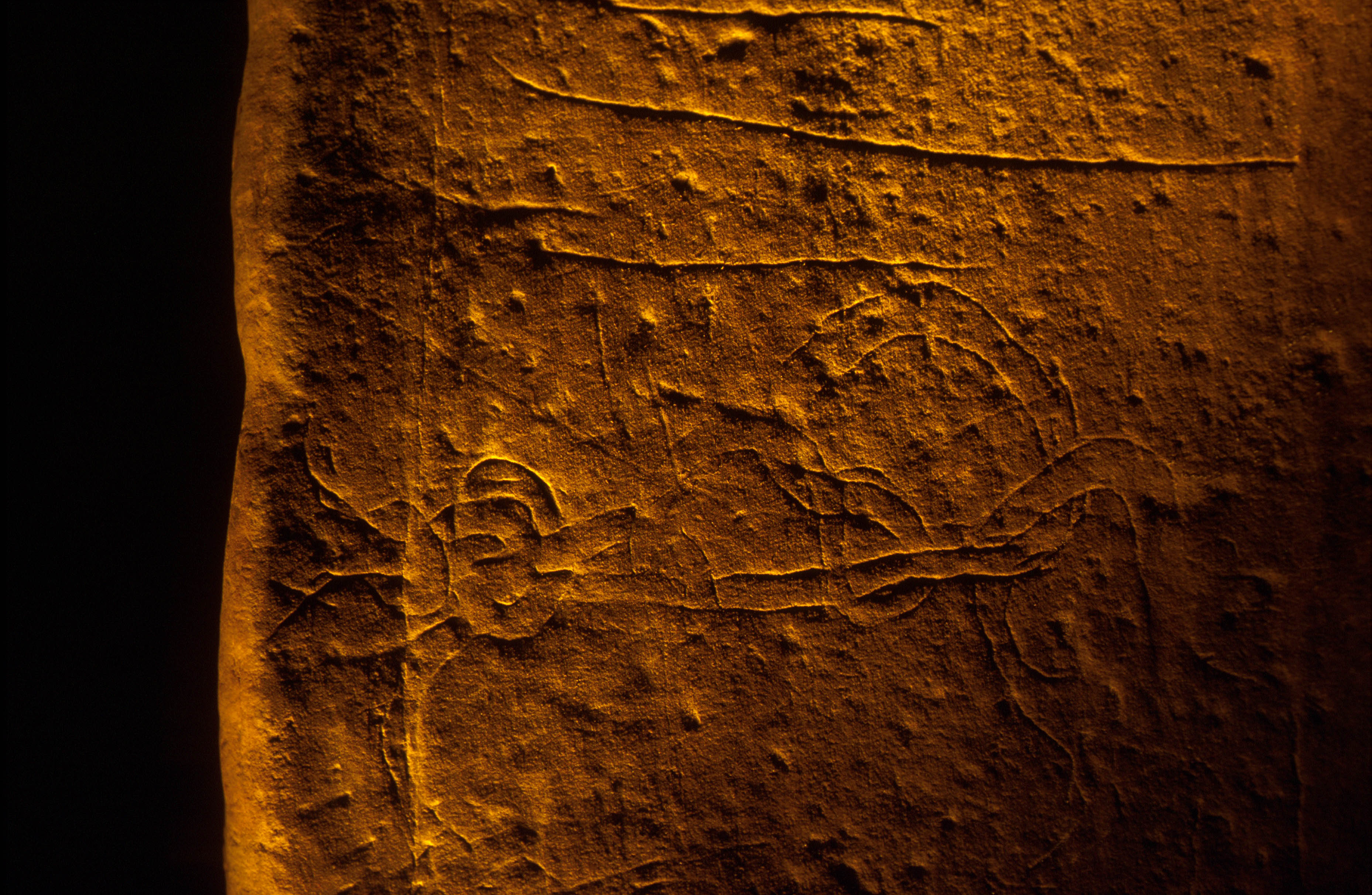 Viking knotted serpent runes Viking runes at the Neolithic chambered tomb in Stenness, Orkney Islands, Scotland. www.Orkneyology.com