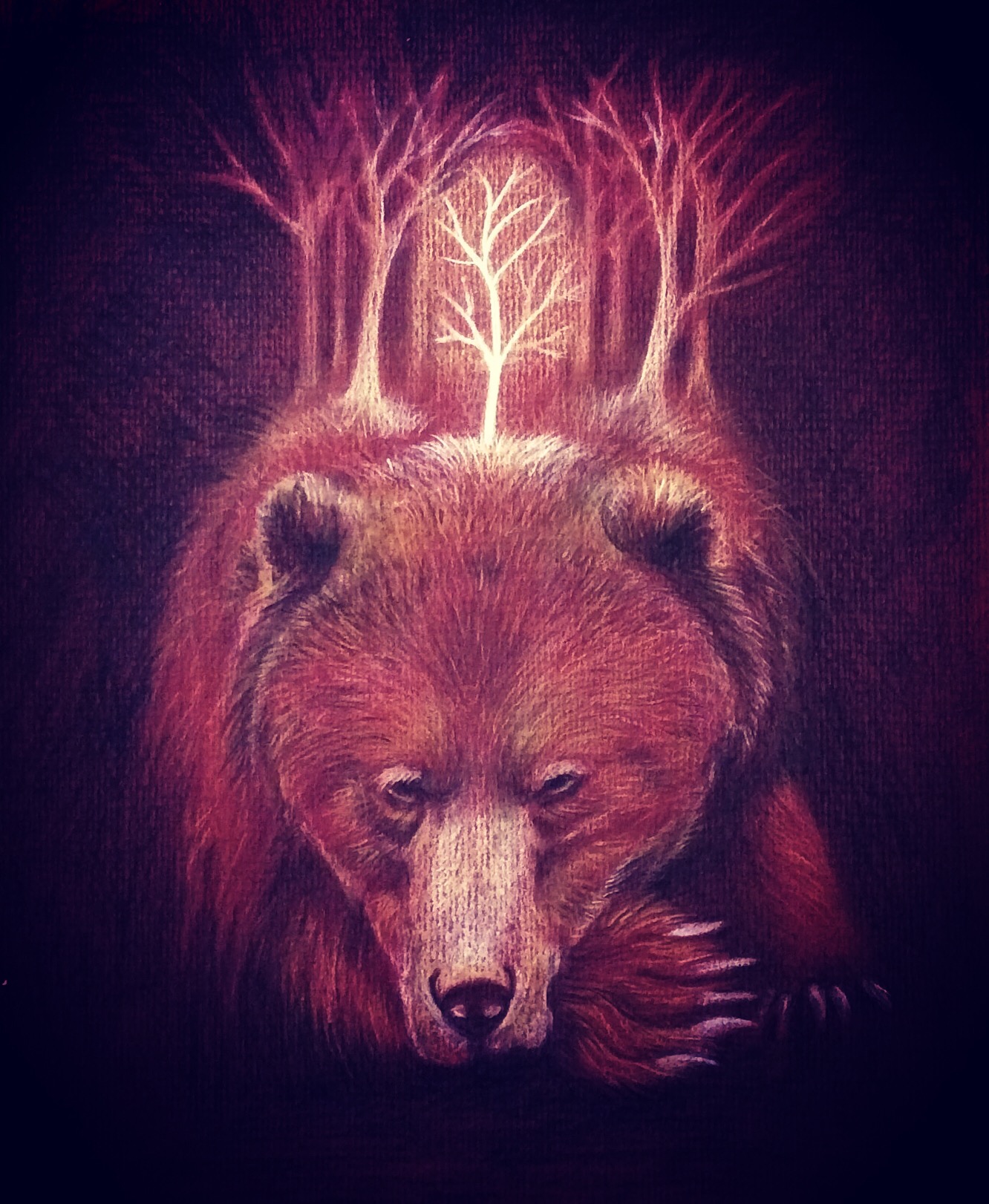 O is for Otso Myths in Isolation; Orkneyology Press, Orkney Islands, Scotland. O is for Otso