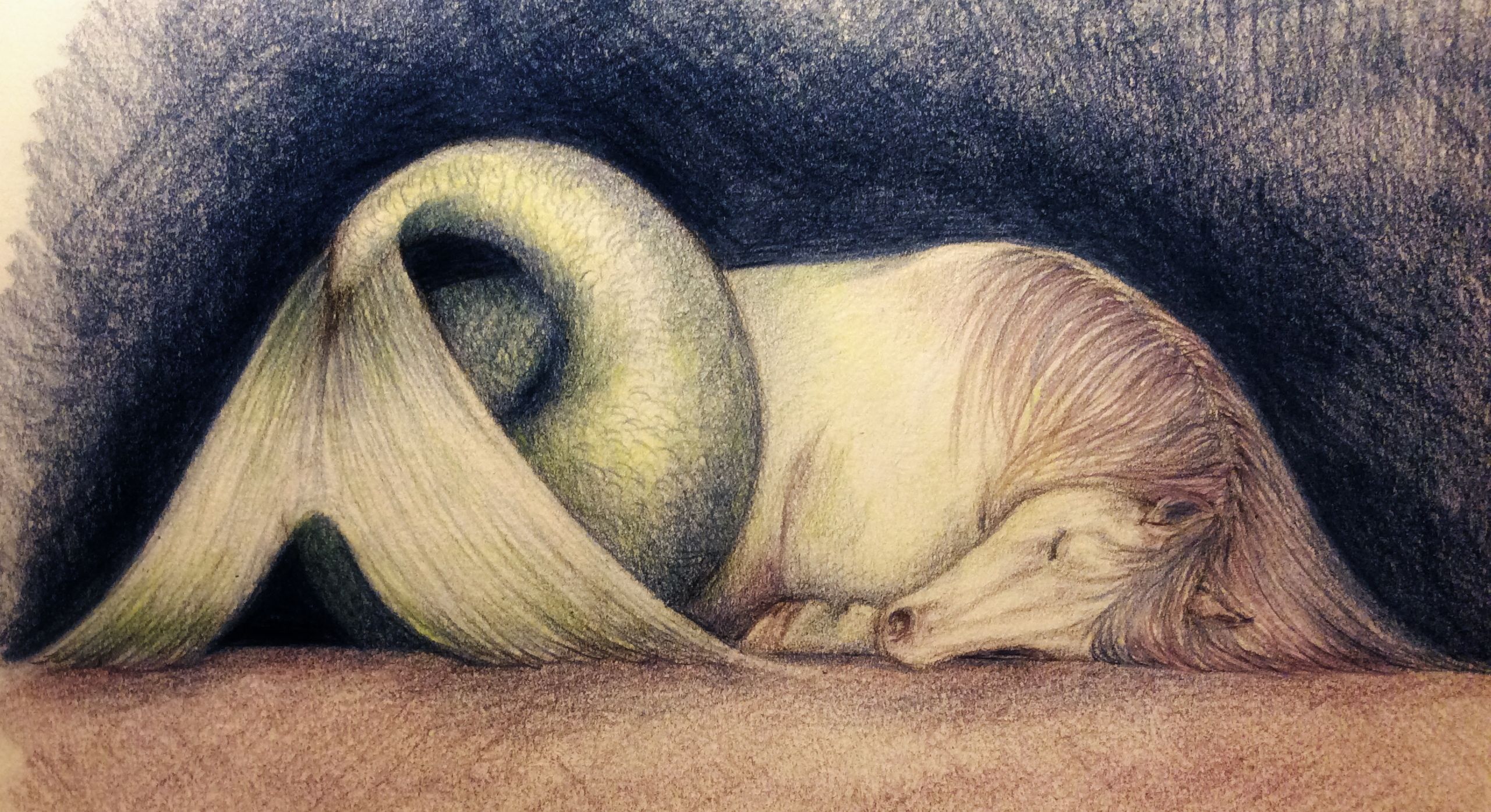 H is for Hippocamp Myths in Isolation; Orkneyology Press, Orkney Islands, Scotland. H is for Hippocamp