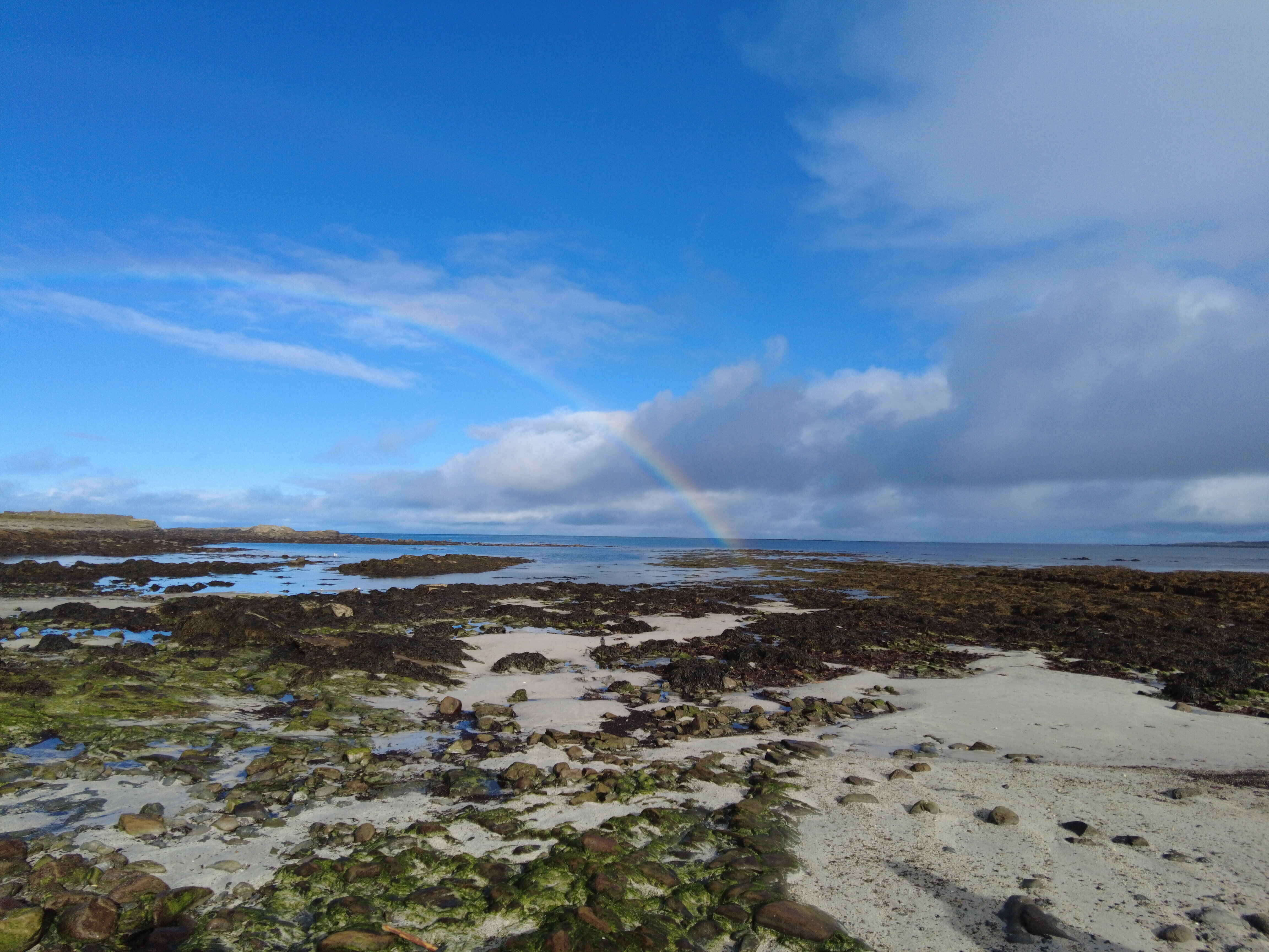 OrkneyologyPress-IanScott-Letter From North Ronaldsay OrkneyologyPress-IanScott-Letter From North Ronaldsay