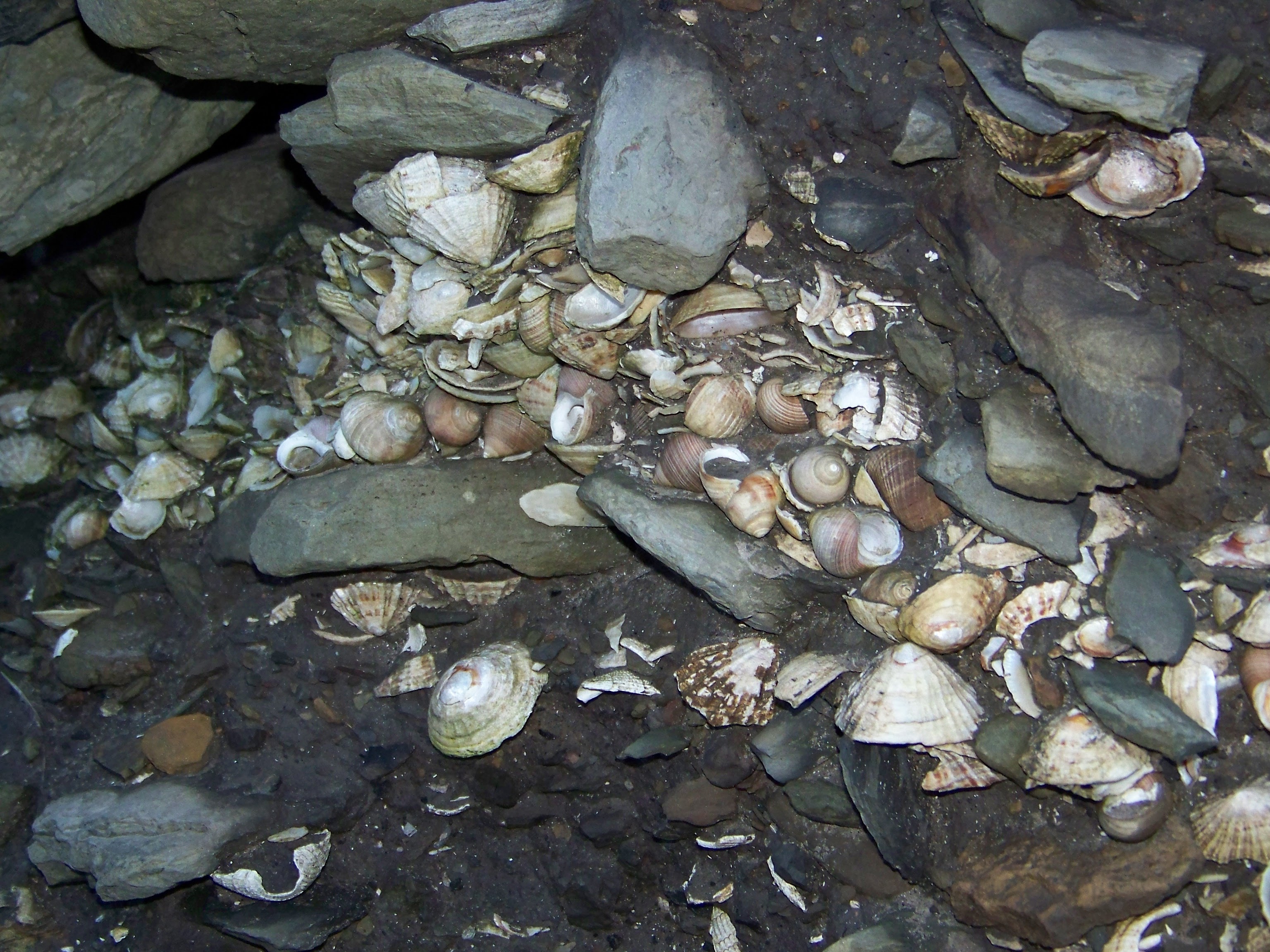 Midden Midden, Orkney Islands, Scotland, UK. #Orkneyology.com