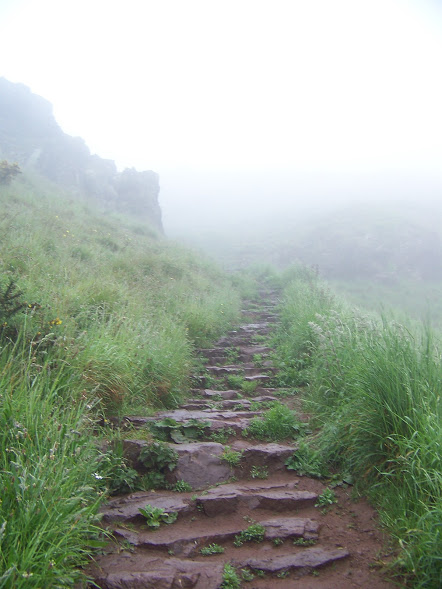 Misty path