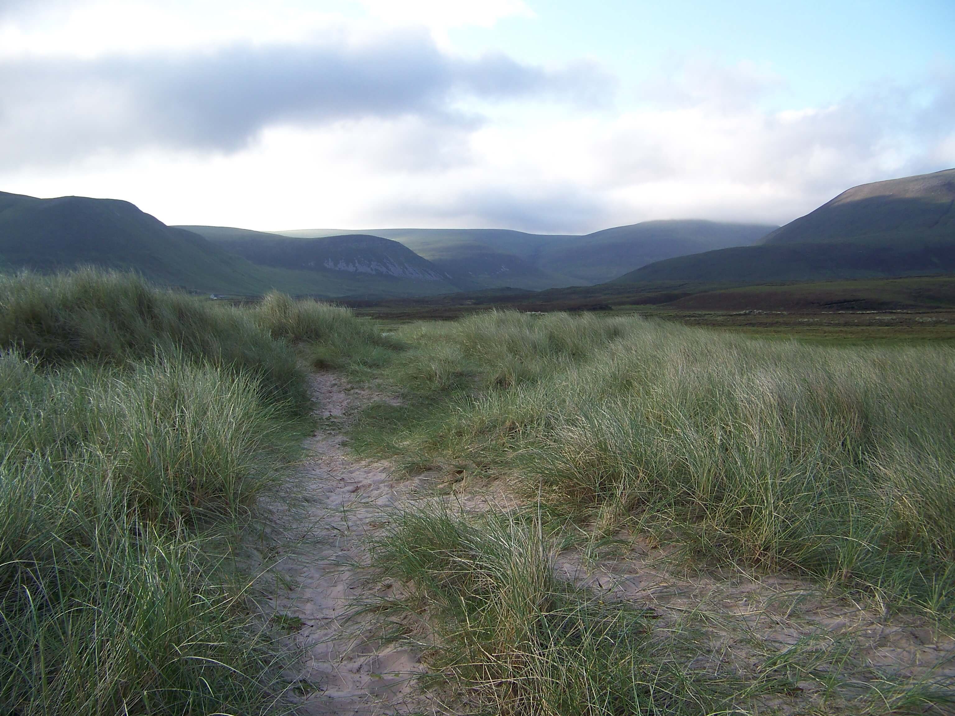 Pink sand trails through the marram grass, Hoy, Orkney