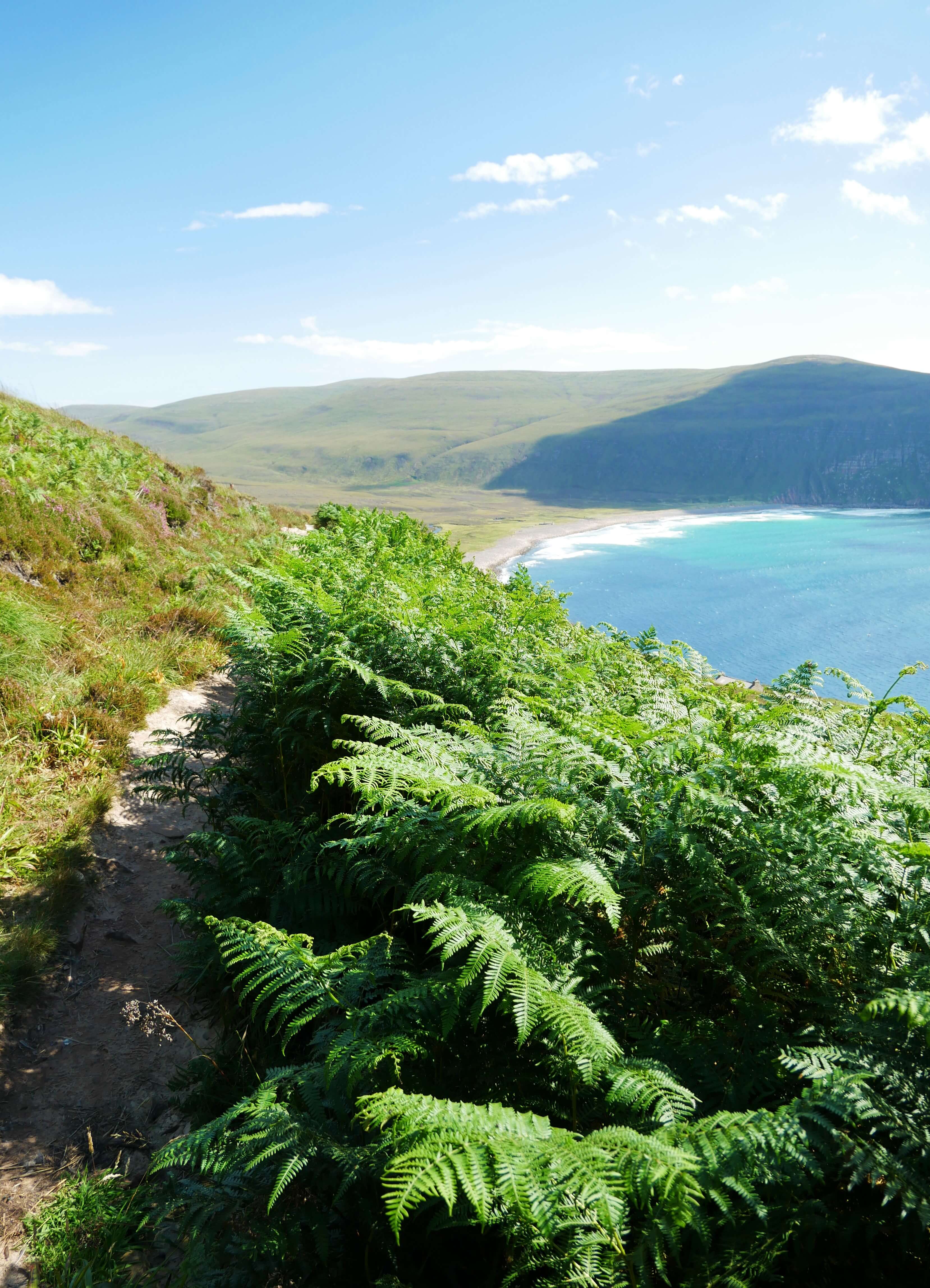 The path to the Old Man of Hoy, Orkney Islands, Scotland