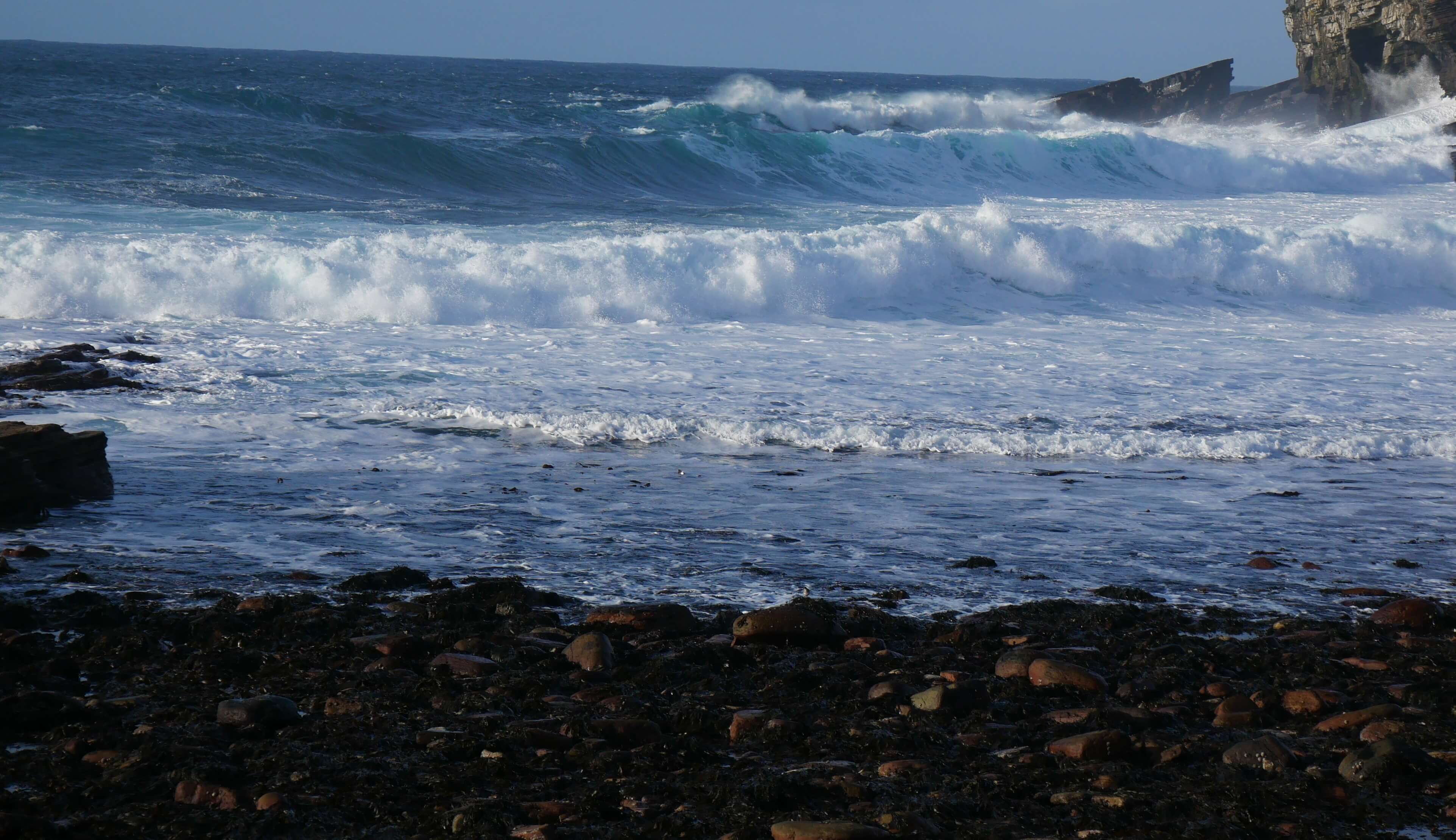 The sea gives ... The sea, Orkney Islands, Scotland. #Orkneyology.com
