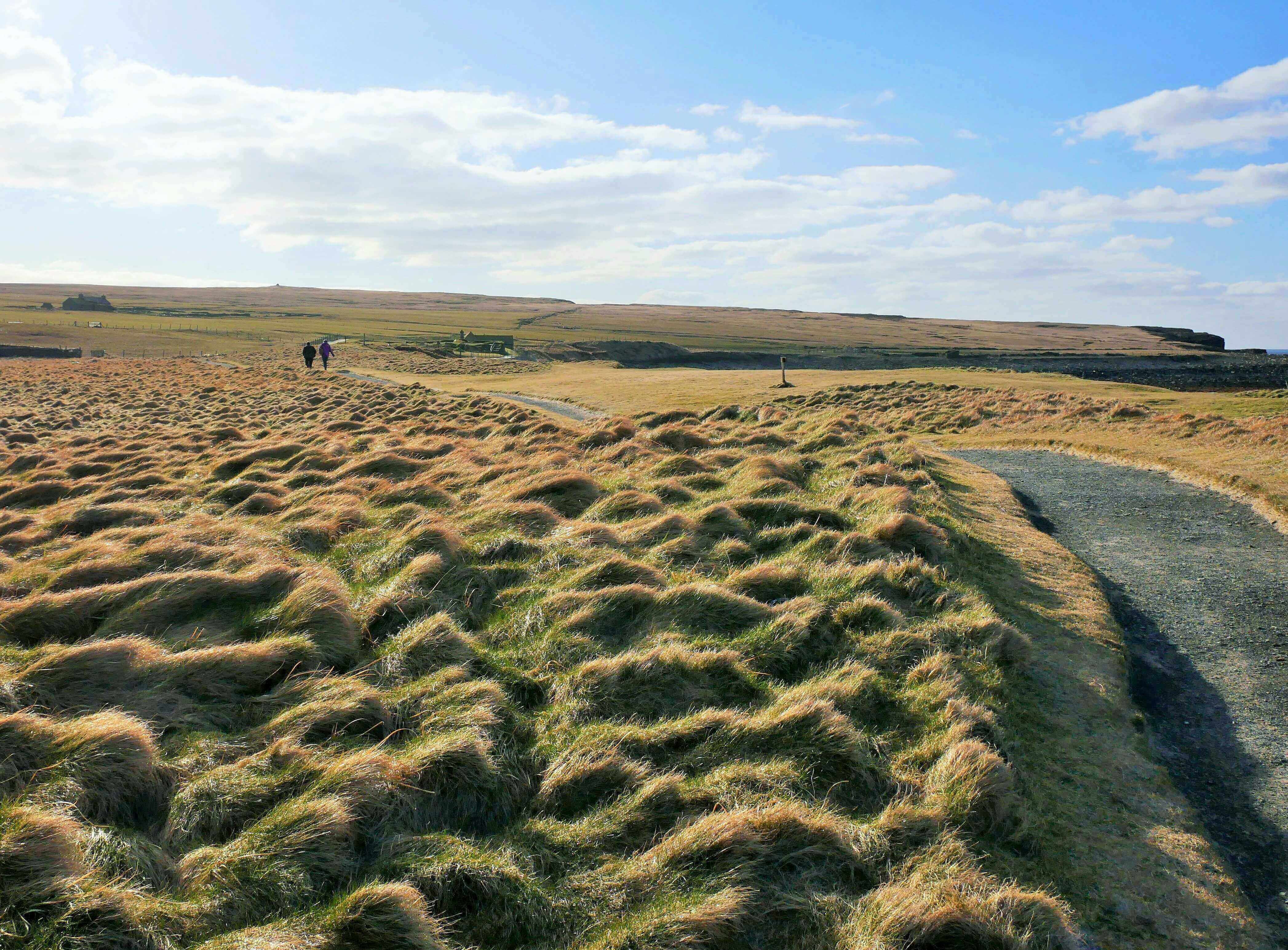 Come on a journey through time ... The path to the Neolithic village at Skaill Beach, Orkney Islands, Scotland. #Orkneyology.com