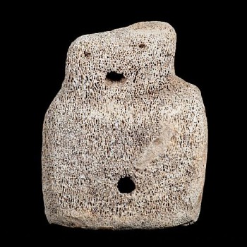 The Skara Brae "Buddo," found in the Neolithic village in Sandwick near Skaill House, Orkney Islands, Scotland. Held at the Stromness Museum. #Orkneyology.com