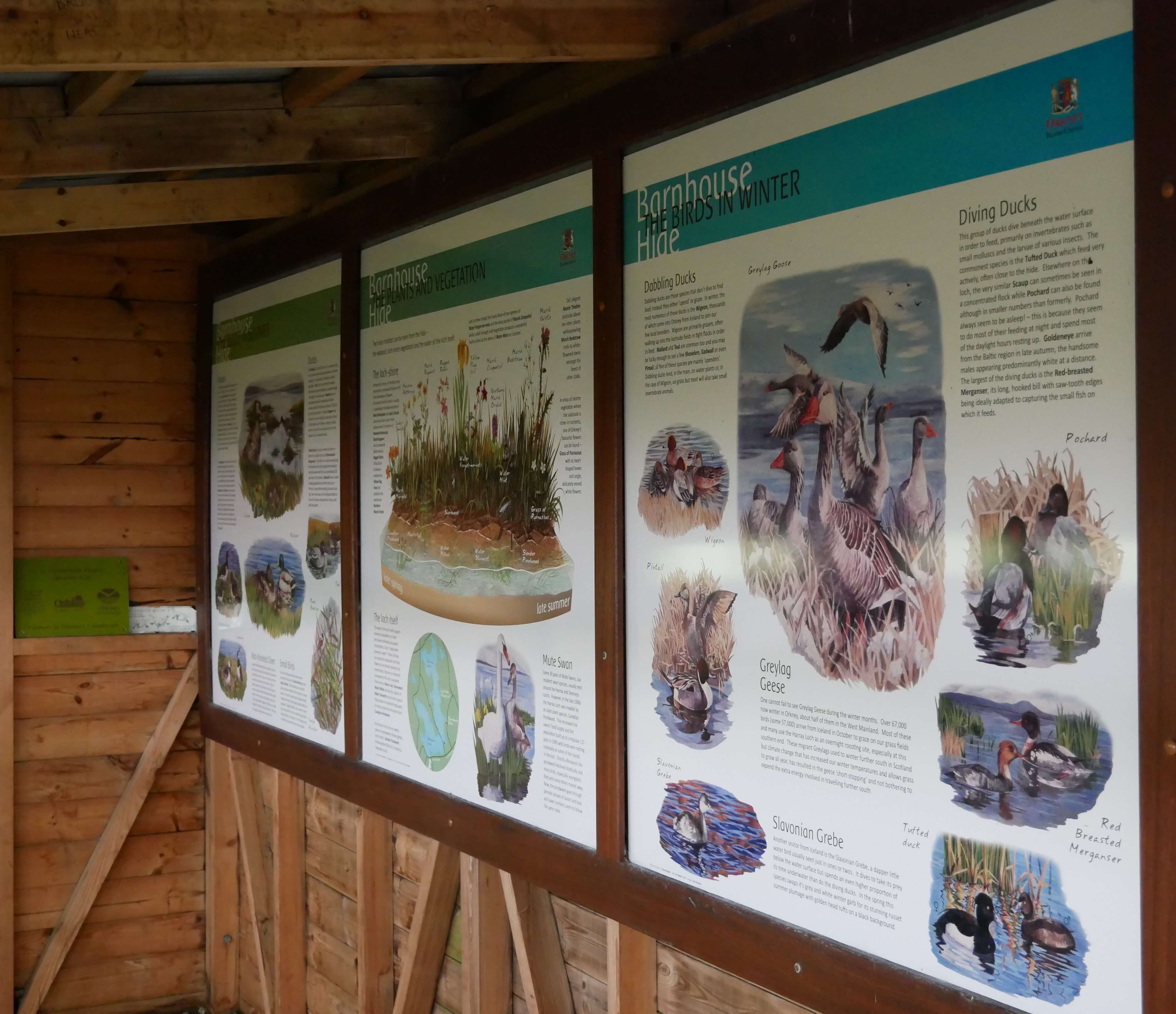 Inside the hide Inside the bird hide at Stenness, Orkney Islands, Scotland, UK. Orkneyology.com