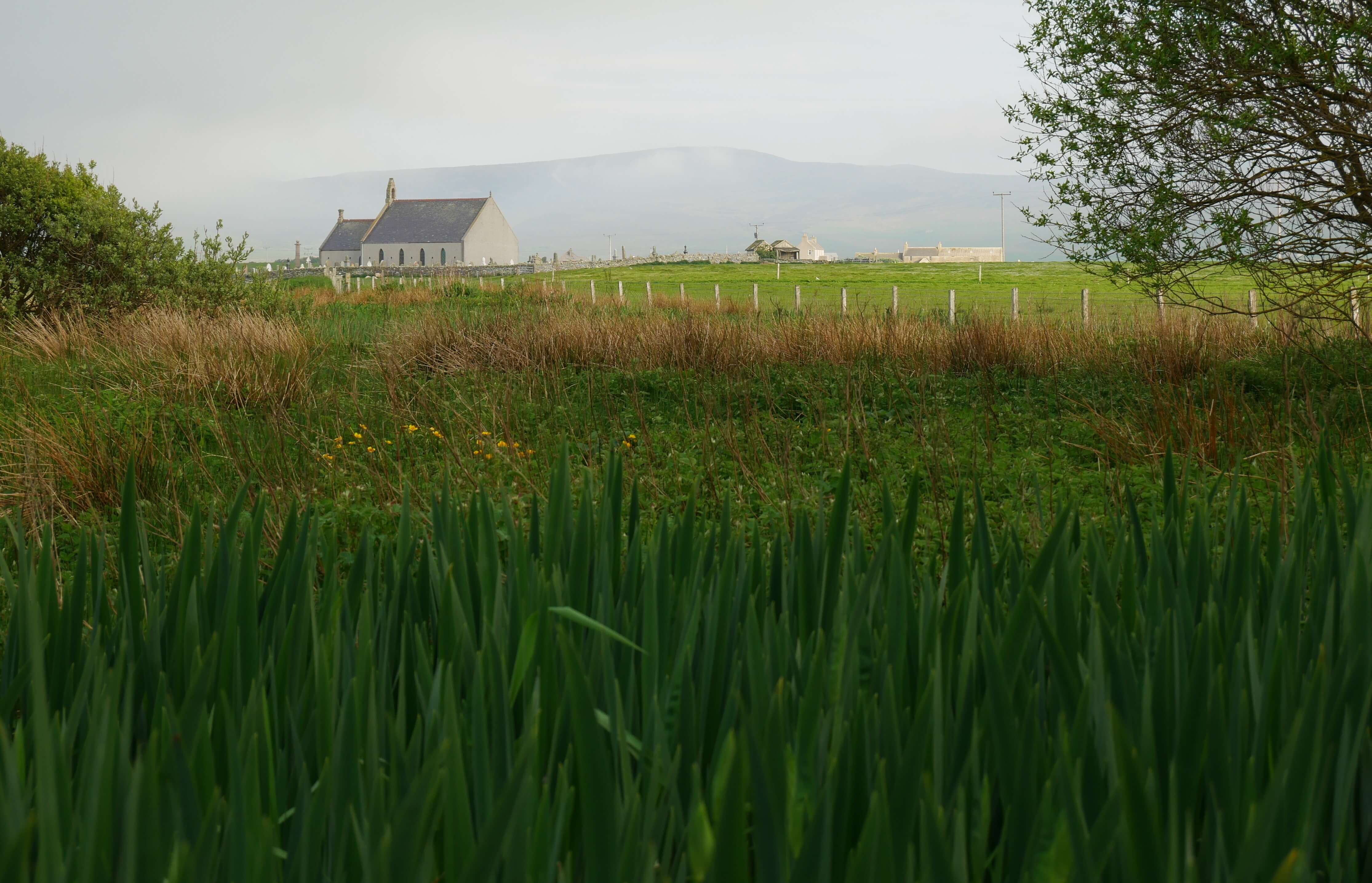 Stenness Kirk as seen from the bird hide behind Barnhouse Neolithic Village Stenness Kirk, near the standing stones of Stenness, Orkney Islands, Scotland, UK. Orkneyology.com