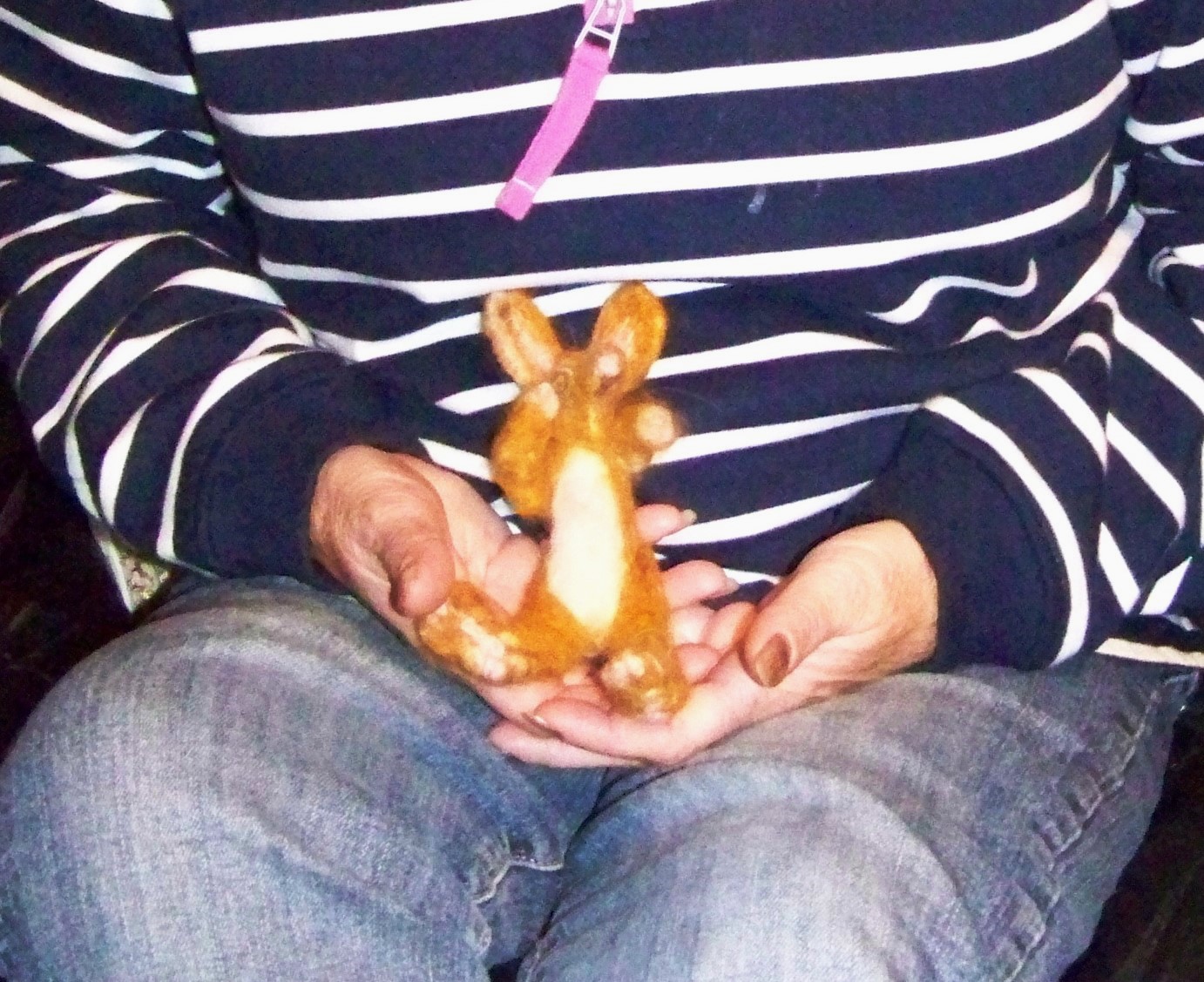 Momma's Boy Hare The woolly mascot of Orkney's annual storytelling festival held in the Orkney Islands in October - Story Hare