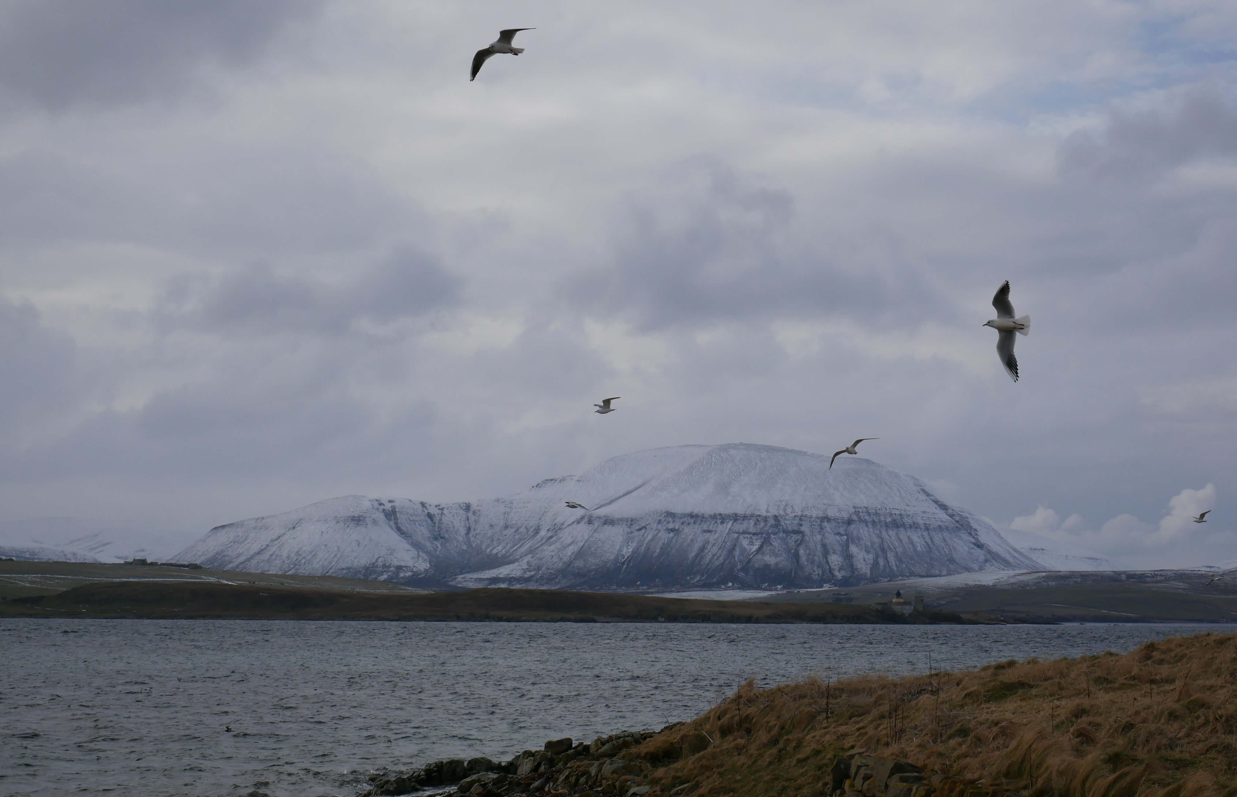 The Ward Hill, Hoy, seen from Stromness