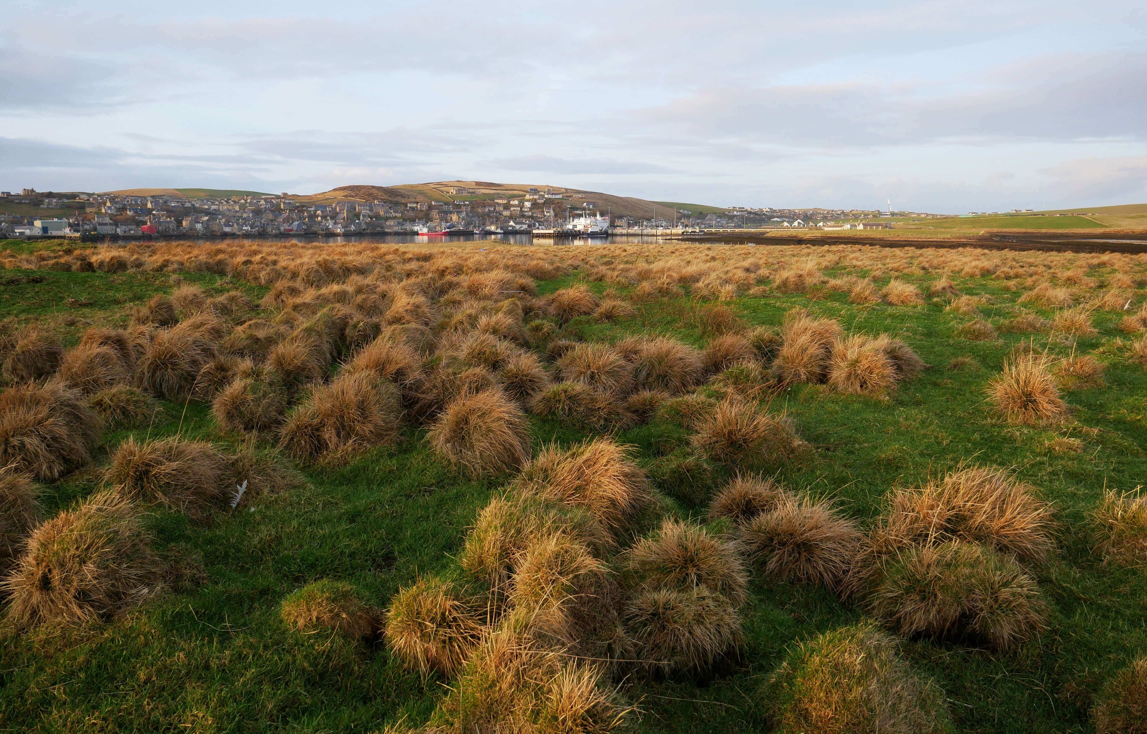 View of Stromness, Orkney, Scotland from a tidal island outside of Stromness.