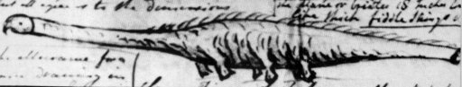 Sketch of the Stronsay Beast by Sir Alexander Gibbon, Stronsay, Orkney Islands, Scotland