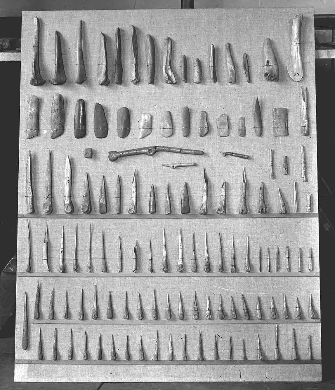 Tools Old photo of bone tools found during the Gordon Childe archaeological dig of the Neolithic Village found on Skaill Beach, Sandwick, Orkney Islands, Scotland, UK. #Orkneyology.com