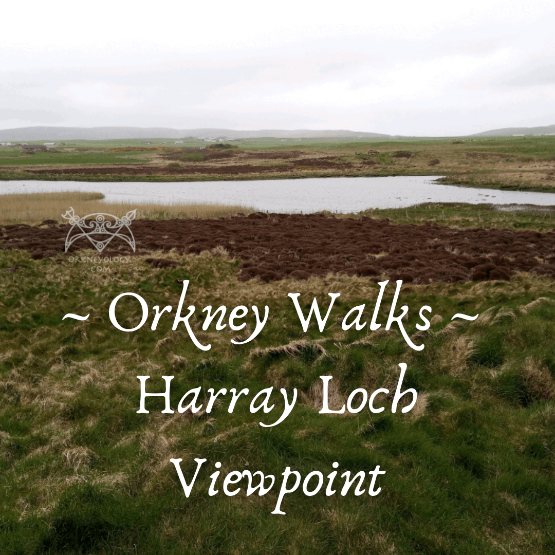 Walking and hiking in Scotland's Orkney Islands - Orkney walking tips from a local. Explore nature at the Harray Loch. www.Orkneyology.com