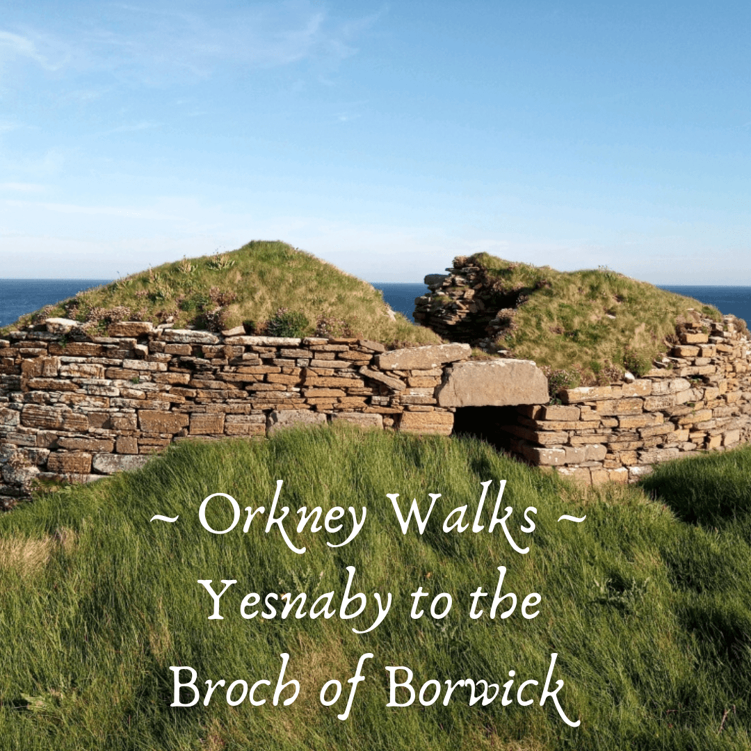 Walking and hiking in Scotland's Orkney Islands - Orkney walking tips from a local. Walk the cliffs of Yesnaby to the Broch of Borwick. www.Orkneyology.com