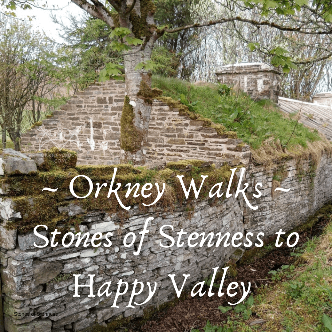 Walking and hiking in Scotland's Orkney Islands - Orkney walking tips from a local. Walk from the Stones of Stenness to Happy Valley. www.Orkneyology.com